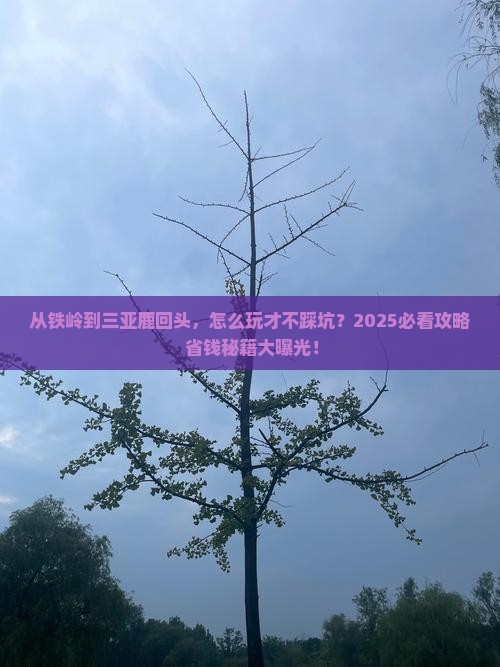 铁岭前往三亚鹿回头哪里玩