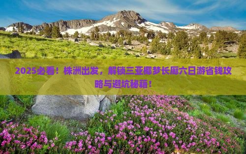 株洲前往三亚椰梦长廊六日游