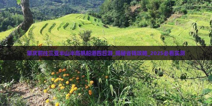 肇庆前往三亚半山半岛帆船港四日游