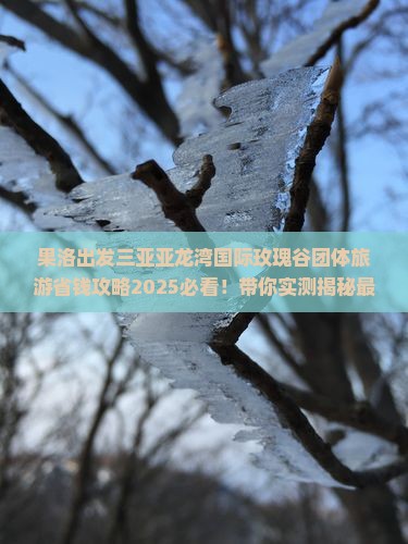 果洛出发三亚亚龙湾国际玫瑰谷团体旅游