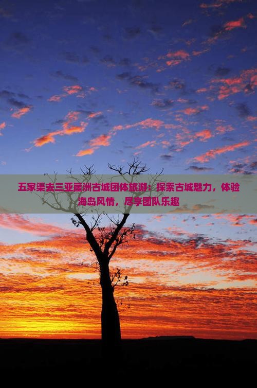 五家渠去三亚崖洲古城团体旅游