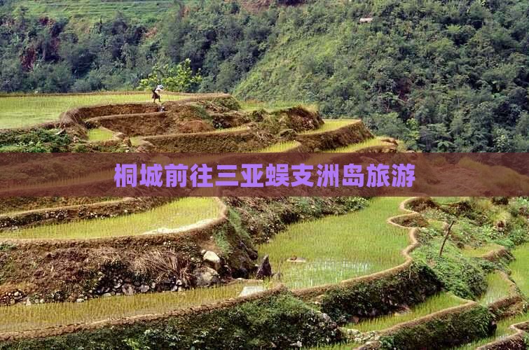 桐城前往三亚蜈支洲岛旅游