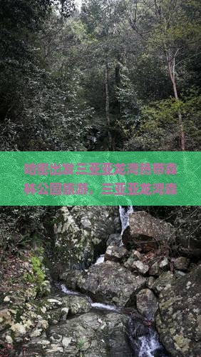 哈密出发三亚亚龙湾热带森林公园旅游