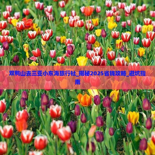 双鸭山去三亚小东海旅行社