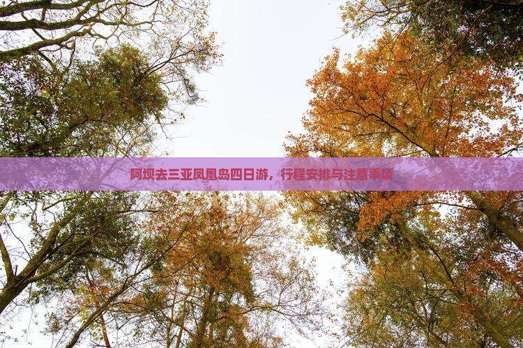 阿坝去三亚凤凰岛四日游