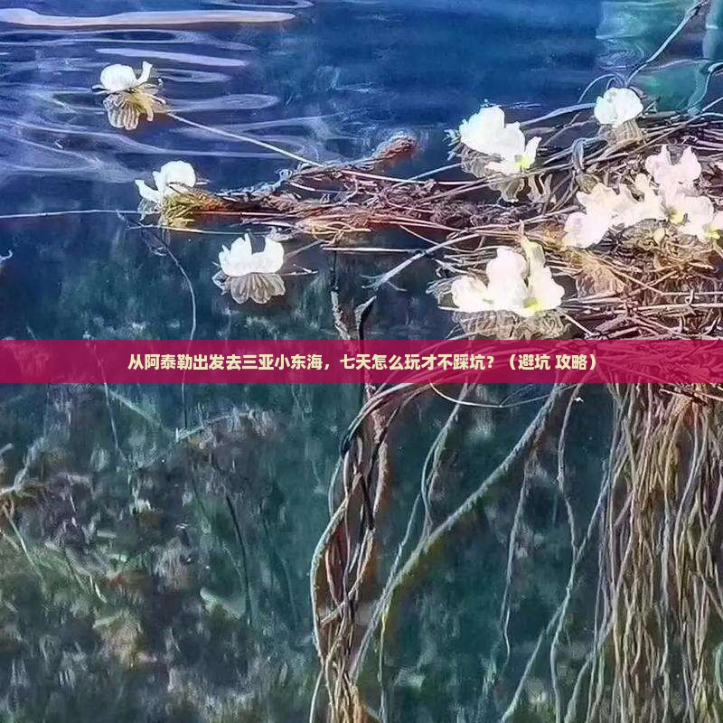 阿泰勒出发三亚小东海七日游
