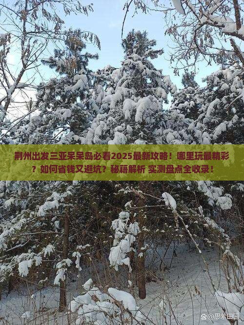 荆州出发三亚呆呆岛哪里玩