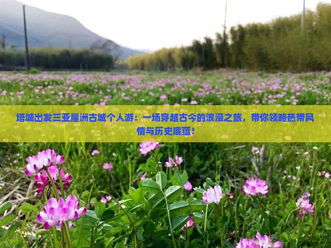 塔城出发三亚崖洲古城个人游