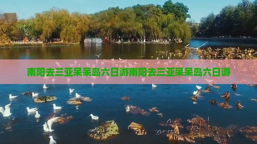 南阳去三亚呆呆岛六日游