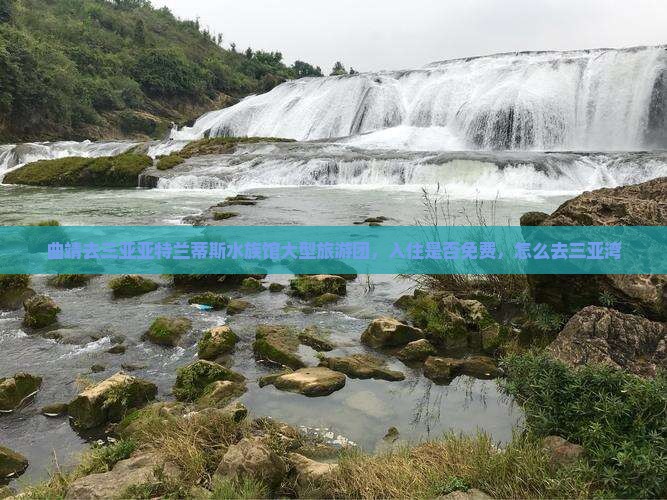 曲靖去三亚亚特兰蒂斯水族馆大型旅游团