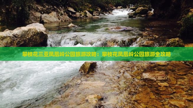 攀枝花去三亚凤凰岭公园旅行社