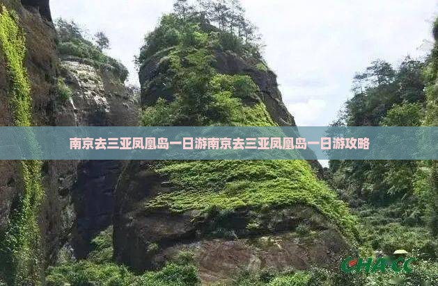 南京去三亚凤凰岛一日游