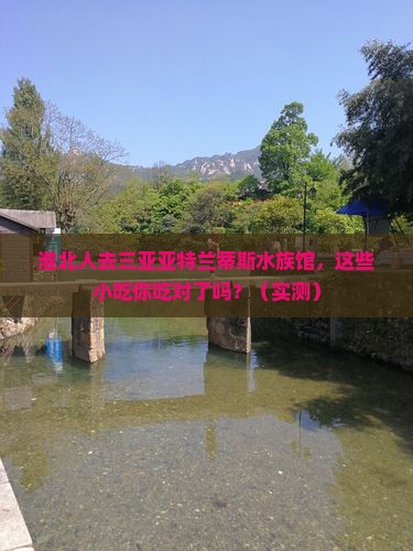 淮北去三亚亚特兰蒂斯水族馆旅游小吃