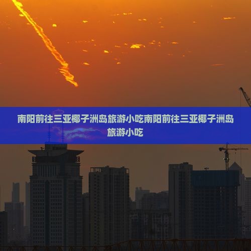 南阳前往三亚椰子洲岛旅游小吃