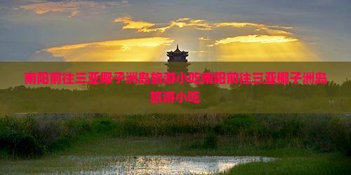 南阳前往三亚椰子洲岛旅游小吃