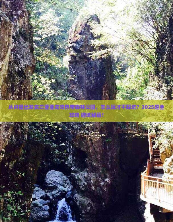 许昌出发三亚亚龙湾热带森林公园哪里玩