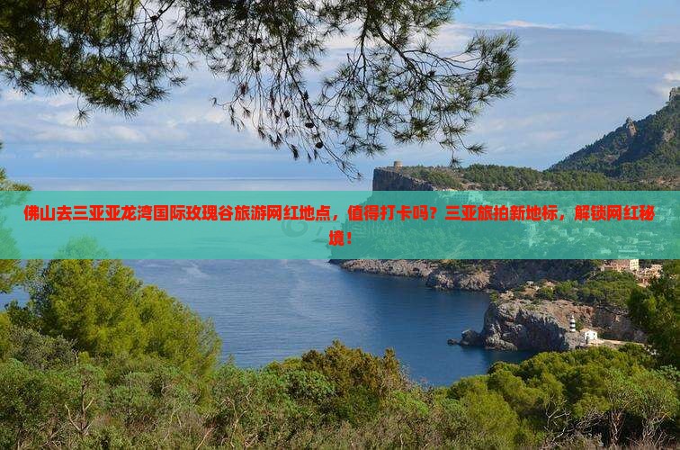 佛山去三亚亚龙湾国际玫瑰谷旅游网红地点