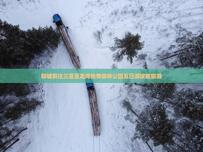 聊城前往三亚亚龙湾热带森林公园五日游