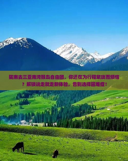 陇南去三亚南湾猴岛自由团