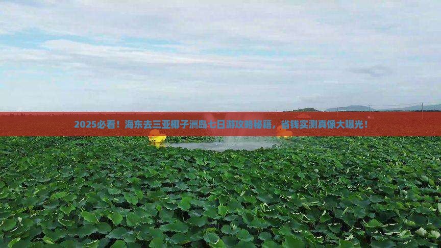 海东前往三亚椰子洲岛七日游