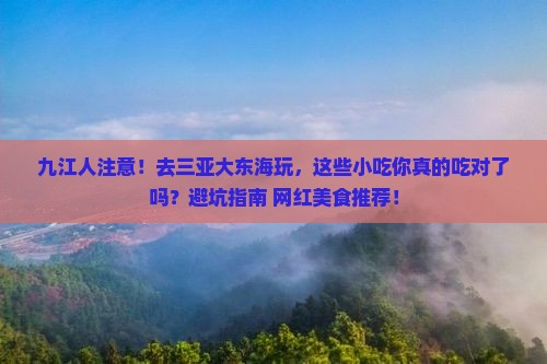 九江前往三亚大东海旅游小吃