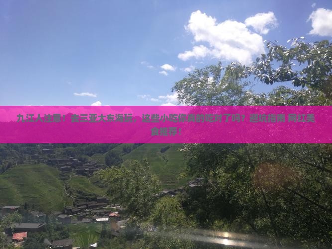 九江前往三亚大东海旅游小吃