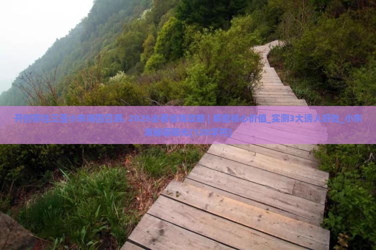 开封前往三亚小东海四日游