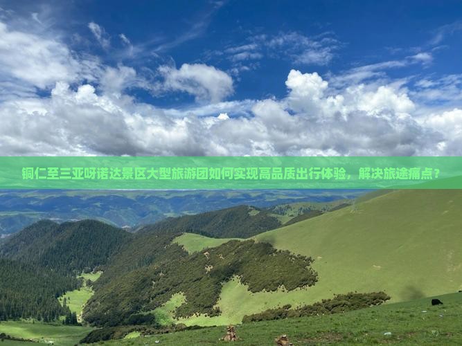 铜仁至三亚呀诺达景区大型旅游团如何实现高品质出行体验，解决旅途痛点？