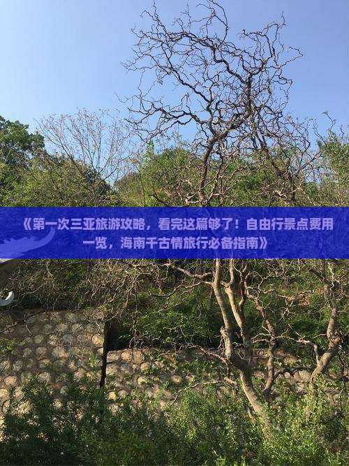 《第一次三亚旅游攻略，看完这篇够了！自由行景点费用一览，海南千古情旅行必备指南》
