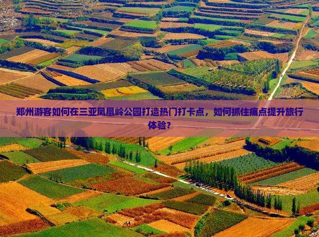 郑州游客如何在三亚凤凰岭公园打造热门打卡点，如何抓住痛点提升旅行体验？