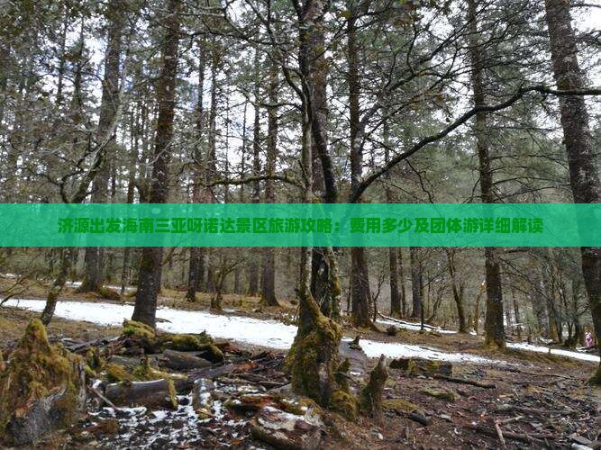 济源出发海南三亚呀诺达景区旅游攻略：费用多少及团体游详细解读