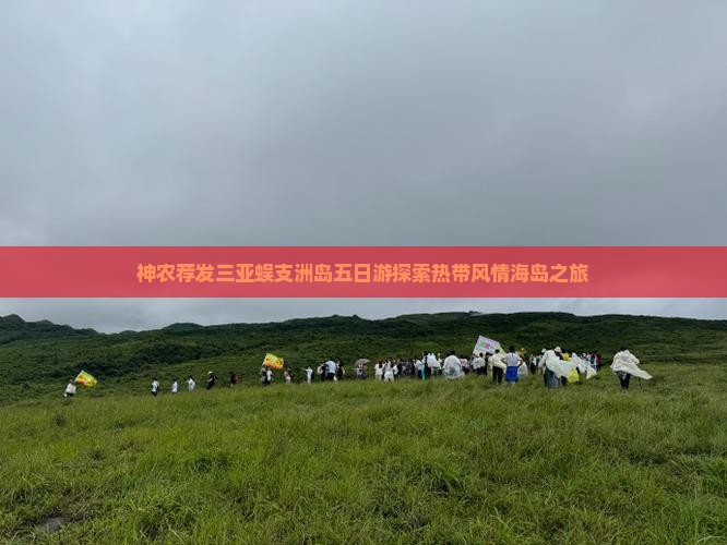 神农荐发三亚蜈支洲岛五日游探索热带风情海岛之旅