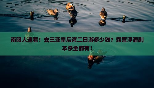 南阳人速看！去三亚皇后湾二日游多少钱？露营浮潜剧本杀全都有！