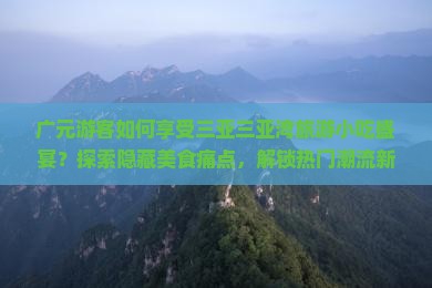 广元游客如何享受三亚三亚湾旅游小吃盛宴？探索隐藏美食痛点，解锁热门潮流新滋味！