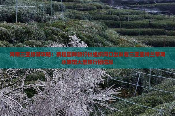 海南三亚旅游攻略：携程国际旅行社组织周口出发看三亚亚特兰蒂斯水族馆大型旅行团信息