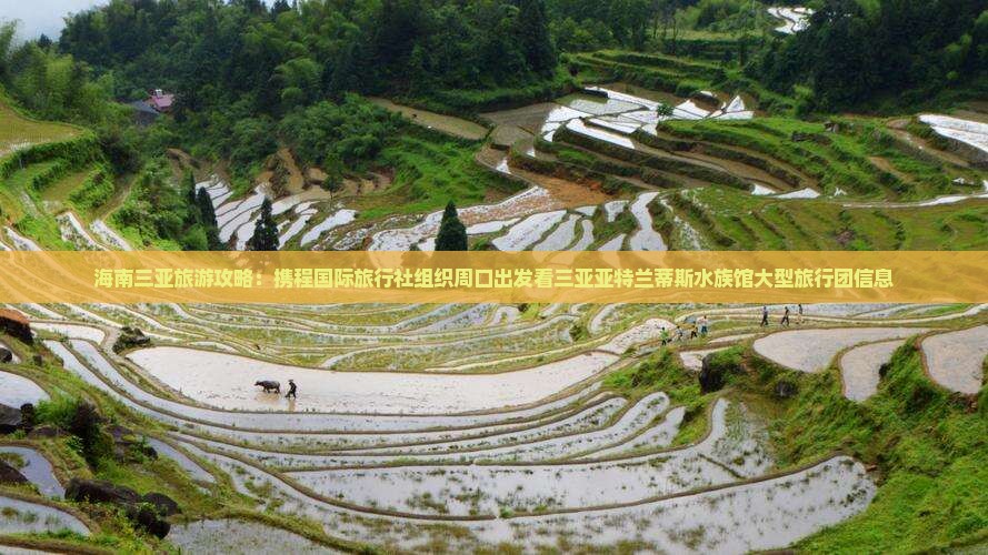海南三亚旅游攻略：携程国际旅行社组织周口出发看三亚亚特兰蒂斯水族馆大型旅行团信息