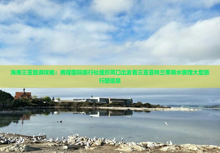 海南三亚旅游攻略：携程国际旅行社组织周口出发看三亚亚特兰蒂斯水族馆大型旅行团信息