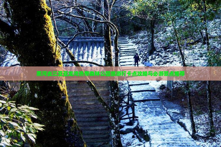 黑河去三亚亚龙湾热带森林公园旅游打卡点攻略与必游景点推荐