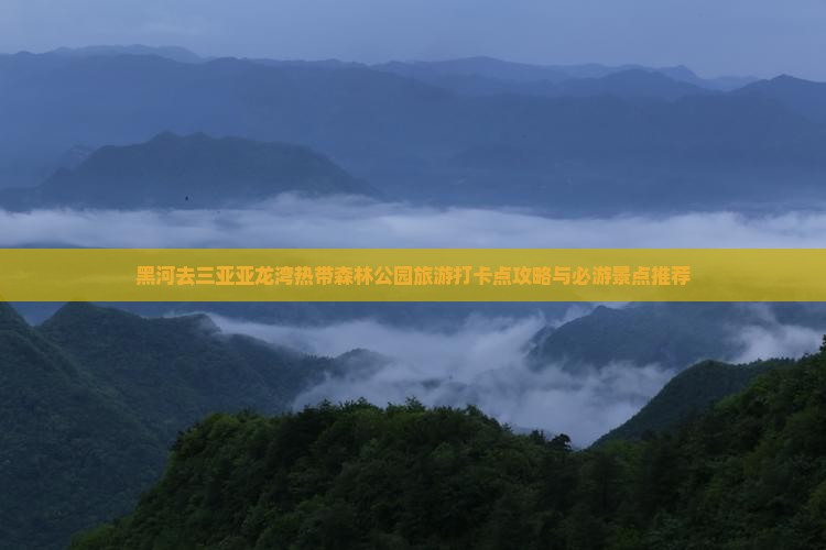 黑河去三亚亚龙湾热带森林公园旅游打卡点攻略与必游景点推荐
