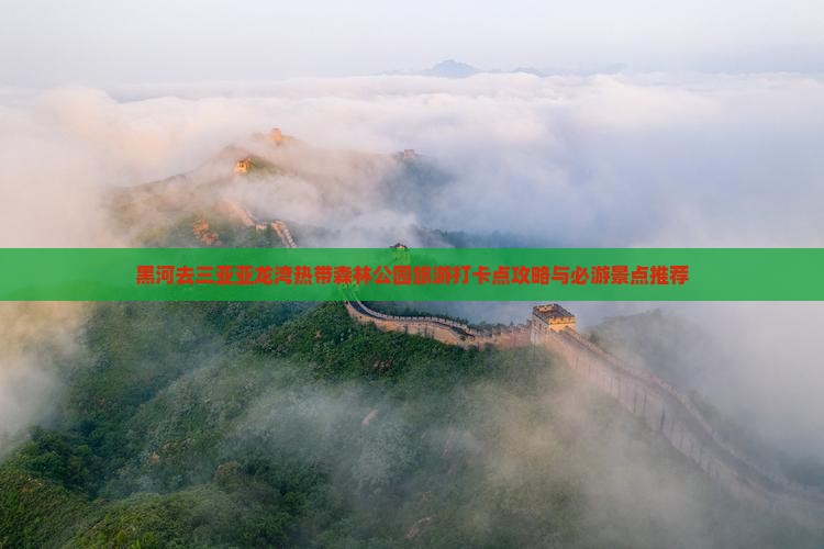 黑河去三亚亚龙湾热带森林公园旅游打卡点攻略与必游景点推荐