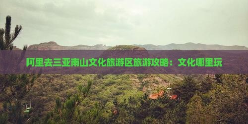 阿里去三亚南山文化旅游区旅游攻略：文化哪里玩