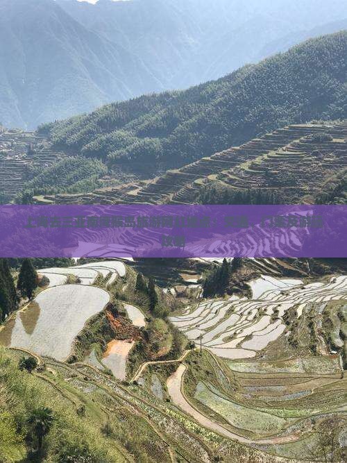 上海去三亚南湾猴岛旅游网红地点：交通、门票及游玩攻略
