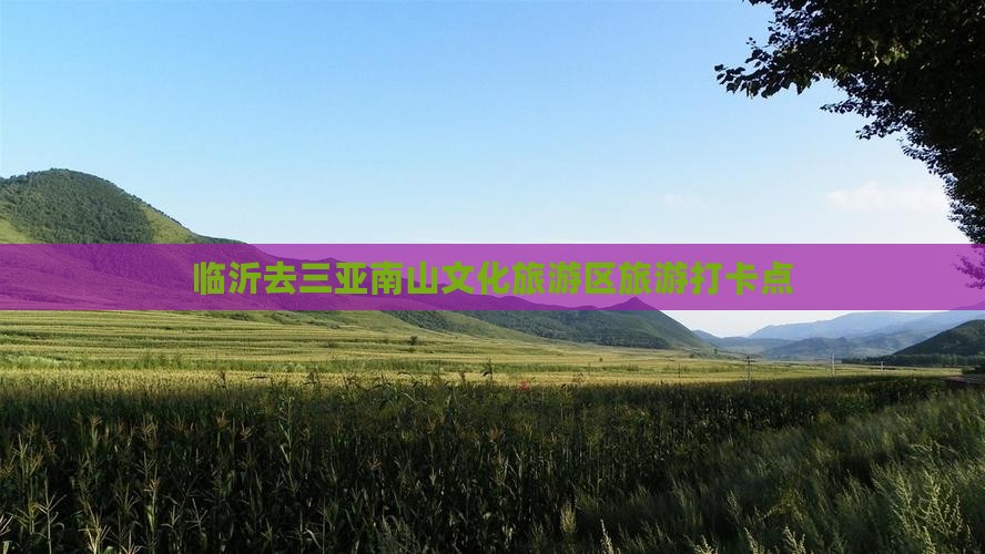 临沂去三亚南山文化旅游区旅游打卡点