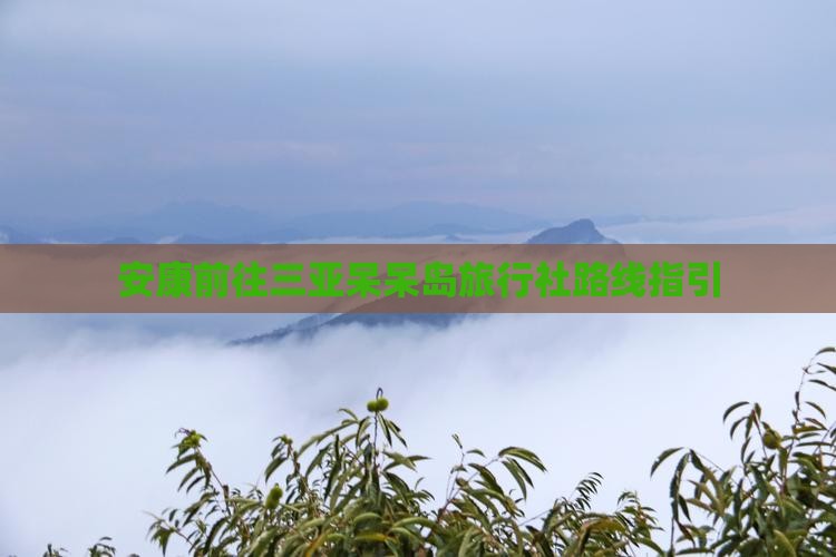 安康前往三亚呆呆岛旅行社路线指引