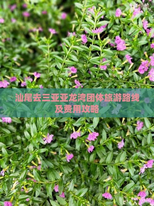 汕尾去三亚亚龙湾团体旅游路线及费用攻略