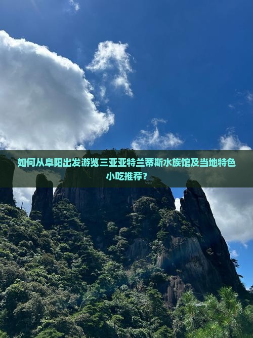 如何从阜阳出发游览三亚亚特兰蒂斯水族馆及当地特色小吃推荐？