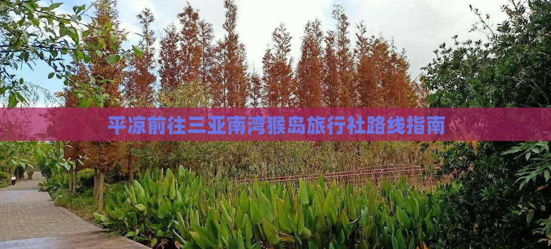 平凉前往三亚南湾猴岛旅行社路线指南