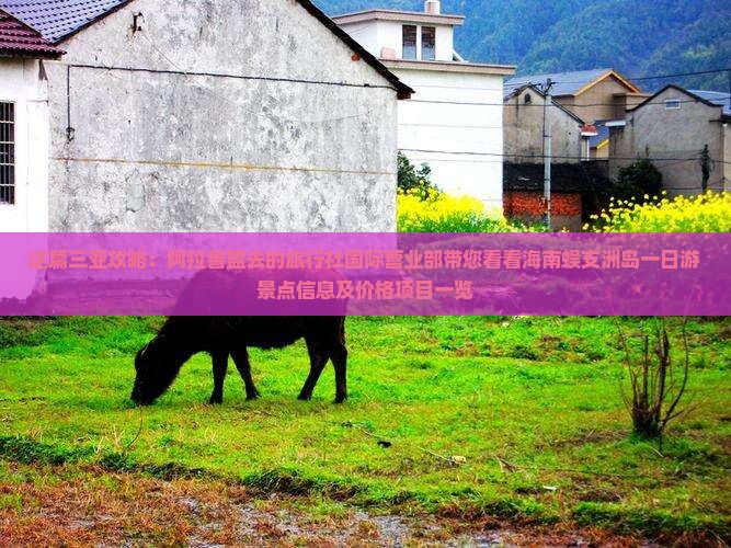 这篇三亚攻略：阿拉善盟去的旅行社国际营业部带您看看海南蜈支洲岛一日游景点信息及价格项目一览