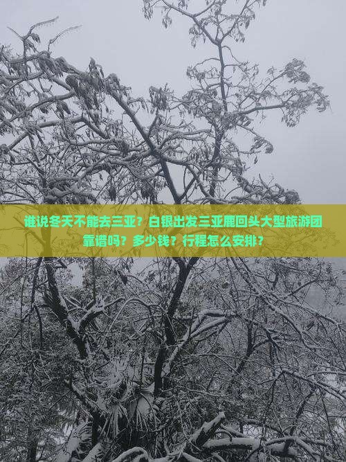谁说冬天不能去三亚？白银出发三亚鹿回头大型旅游团靠谱吗？多少钱？行程怎么安排？