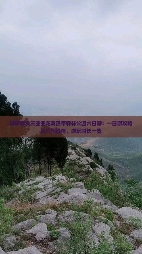 神农荐发三亚亚龙湾热带森林公园六日游：一日游攻略及门票价格、游玩时长一览